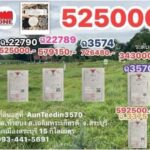 ขายที่ดิน 350ตรว ต.ห้วยบง อ.เฉลิมพระเกียรติ จ.สระบุรี ถนนสาธารณะทุกแปลง โทร 093-441-5691