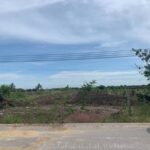 ขายที่ดินเปล่า เมืองนครปฐม 5 ไร่กว่าๆ ติดถนนดำ อยู่ในซอยเทศบาลตำบลดอนยายหอม โทร 0917796341