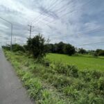 ขายที่ดินนา3-1-46ไร่ 10ล. ถนน4เลน ต.หนองแก้ว อ.เมือง ศรีสะเกษ