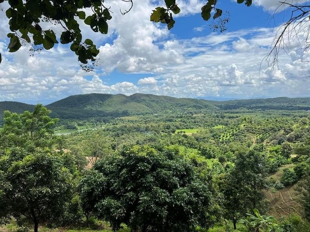 ขายด่วนที่ดินวิวสวย ยกแปลง บ้านปง หางดง