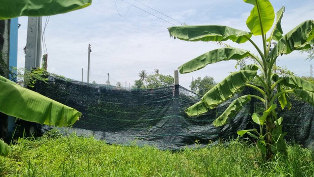 ขายที่ดินท่าข้าม รางโพธิ์ล่าง 378 ตร.ว. ทำเลดี ใกล้สวนกุหลาบธนบุร