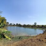 ขาย บ้าน 2 หลัง พร้อมที่ดิน 9 ไร่ 3 งาน จ.เพชรบูรณ์