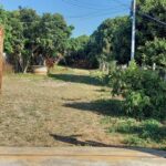 ขายที่ดินเกือบ9ไร่ 1.9ล.สวนลำไย ติดน้ำลี้ ต.แม่ตืน ลี้ ลำพูน