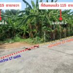 ขายที่ดินถมแล้วแบ่งขายแปลงละ 115วาใกล้ารถไฟฟ้าชมพูมีนบุรีกรุงเทพ
