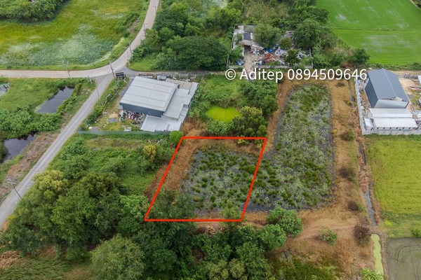 ขายด่วน! ที่ดินเปล่า 317 ตร.ว. คลองโยง-พุทธมณฑล