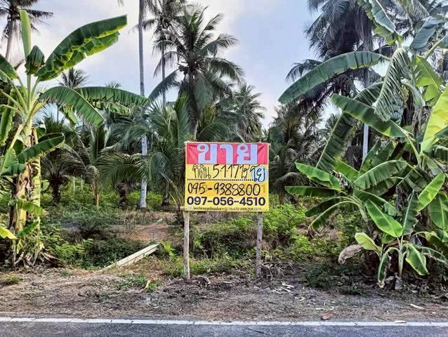 ขายที่ดินสวนมะพร้าว 5-1-17 ไร่ ใกล้ตลาดน้ำอัมพวา สมุทรสงครา