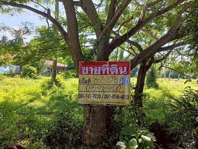 ขายที่ดิน 8-2-20 ไร่ วิวธรรมชาติ บางสะพาน ประจวบคีรีขันธ์
