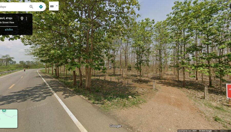 ด่วน! โอกาสทองสำหรับนักลงทุน ที่ดิน 29 ไร่ พร้อมสวนสักอายุ 12 ปี ใกล้เมืองลำพูน โทร 081-530-7997