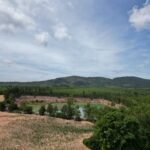 ขายที่ดิน WARA LAND49 อ.นาดี จ.ปราจีนบุรี 2ไร่