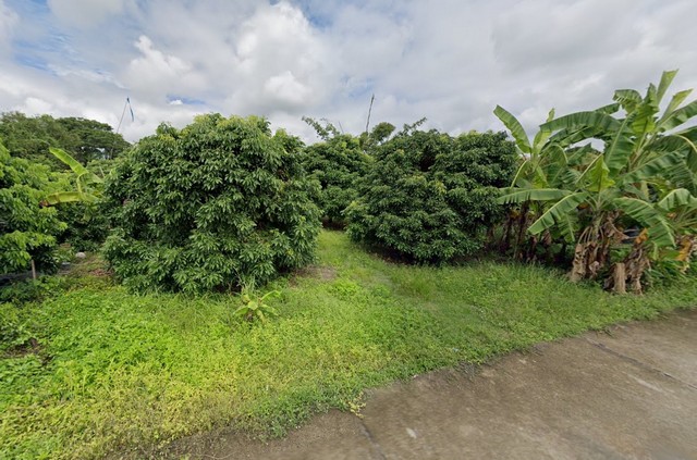 ขายที่ดิน395ว. 2.5ล.ใกล้ถนนเลียบรถไฟ รพ.สารภี อ.สารภี เชียงใหม่