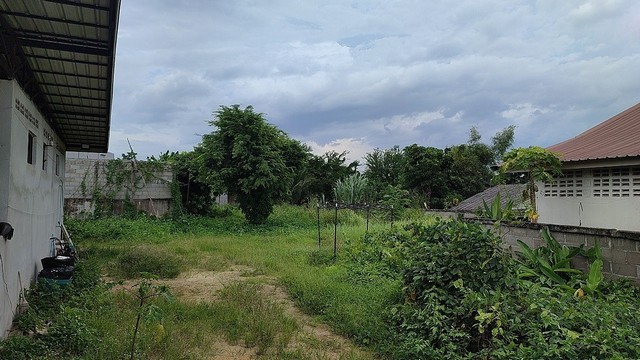 ขายบ้านพร้อมที่ดิน 1-2-29.7 ไร่ บ้านต้นยาง จ.เชียงราย