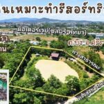ขายที่ดินริมน้ำ บึง ศรีราชา ทำรีสอร์ท-คาเฟ่ ใกล้มอเตอร์เวย์