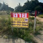 ขายที่ดิน 60วา 2 แปลง ตะเคียนเตี้ย บางละมุง ชลบุรี