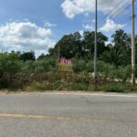 ขายที่ดิน 2-3-47 ไร่ ตำบลห้วยใหญ่ บางละมุง ชลบุรี