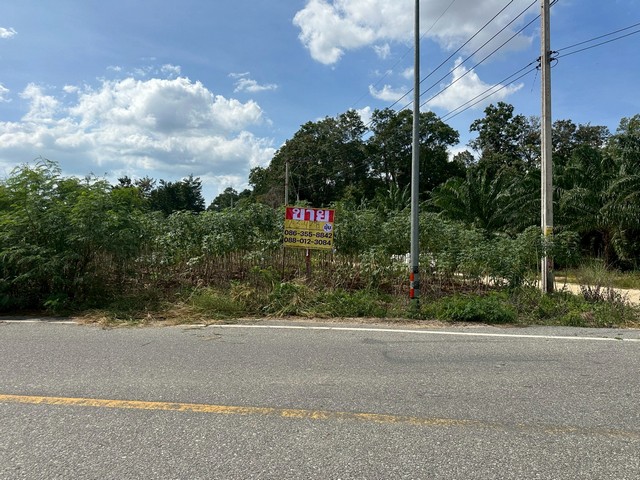 ขายที่ดิน 2-3-47 ไร่ ตำบลห้วยใหญ่ บางละมุง ชลบุรี