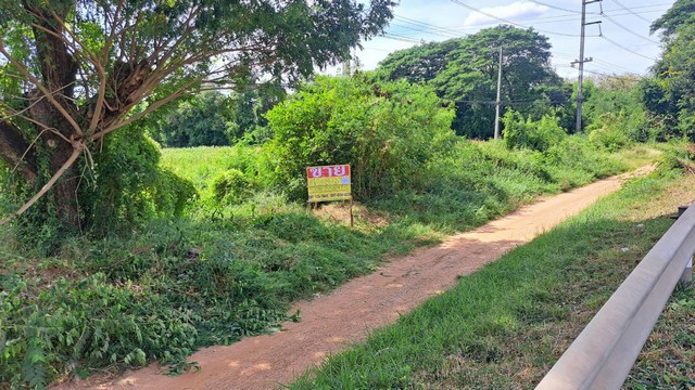 ขายที่ดิน 4-3-89 ไร่ ติดถนนมะลิวัลย์ ต.หนองบัว บ้านฝาง ขอนแก่น