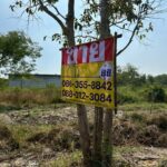 ขายที่ดิน 2 ไร่ คลอง9 ถนนรังสิต-นครนายก บึงสนั่น ธัญบุรี ปทุม