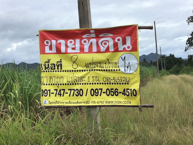 ขายที่ดิน 8 แปลง แปลงละ 1 งาน เขากระปุก อ.ท่ายาง จ.เพชรบุรี