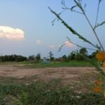 ขายที่ดิน กรุงเทพ ที่ดินโซนหนองจอก-ถมแล้ว-ลดสุดๆ