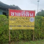 ขายที่ดินราคาถูก ทำเลดี 2-0-13 ไร่ ติดถนนสายหลัก พิษณุโลก-พรหมพิร