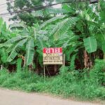 ขายที่ดิน 304 ตารางวา หนองปลิง เมืองนครสวรรค์ ใกล้สถานีรถไฟหนอ