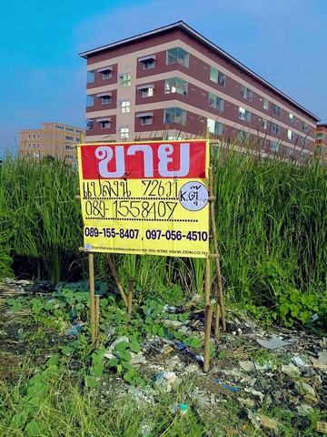 ขายด่วนที่ดินจัดสรรแล้ว ขายรวม 726 ตร.วา ซ.สุเหร่าเขียว บางบัว
