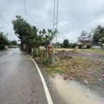 ขายที่ดิน55ว. 750ส. บ้านทุ่งยาว ต.สันทรายหลวง สันทราย เชียงใหม่