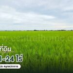 ที่ดินเปล่า 11-1-24 ไร่ คลองนิยมยาตรา บางบ่อ ทำเลดี