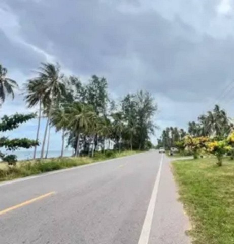 ขายที่ดิน ใกล้จุดชมวิววัดคอเขา อำเภอหลังสวน จังหวัดชุมพร