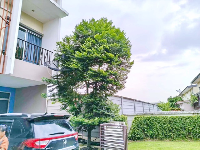 ติวานนท์-แจ้งวัฒนะ หัวมุมให้เช่า ทาวน์โฮม 2 ชั้น แสนสิริ 3นอน 2แอ