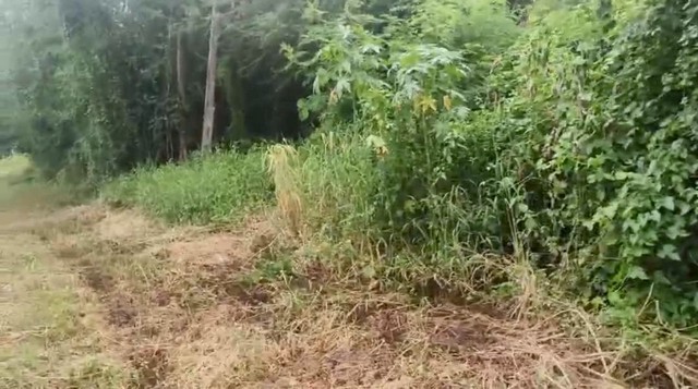 ขายด่วน! ที่ดินทำเลดี บางใหญ่ นนทบุรี 217 ตร.ว. เพียง 1.7 ล้าน