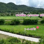 ขายที่ดิน บางพระ ศรีราชา ชลบุรี ติดถนนสาธารณะ สาธารณูปโภคครบ