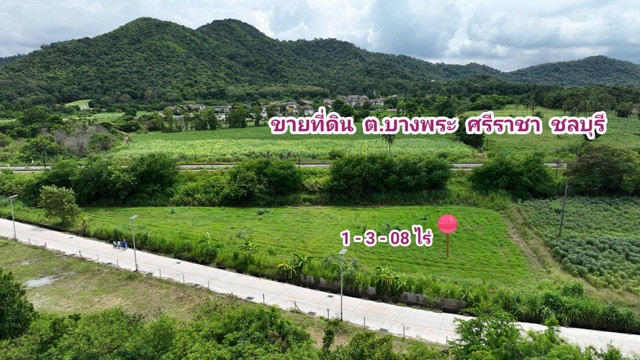 ขายที่ดิน บางพระ ศรีราชา ชลบุรี ติดถนนสาธารณะ สาธารณูปโภคครบ