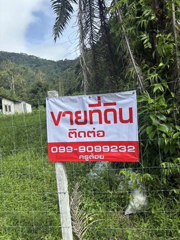 ขายด่วนที่ดินท่ามกลางธรรมชาติ อำเภอเมือง จังหวัดระนอง เนื้อที่ 6