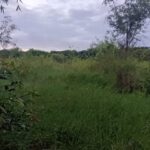 ขายที่ดินแปลงใหญ่ 8 ไร่ หน้ากองบิน 4 อ.ตาคลี จ.นครสวรรค์