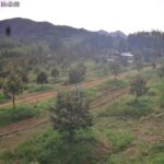 ขายที่ดินสวนทุเรียนแสนรักแบบตัดใจขายสุดๆ ทำเลทองระยองสวยมากๆ