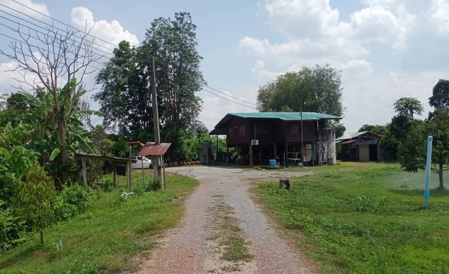 ขายที่ดินสวนทุเรียนจังหวัดแพร่-แหล่งน้ำการเกษตร มีสระ, มีน้ำจากคล