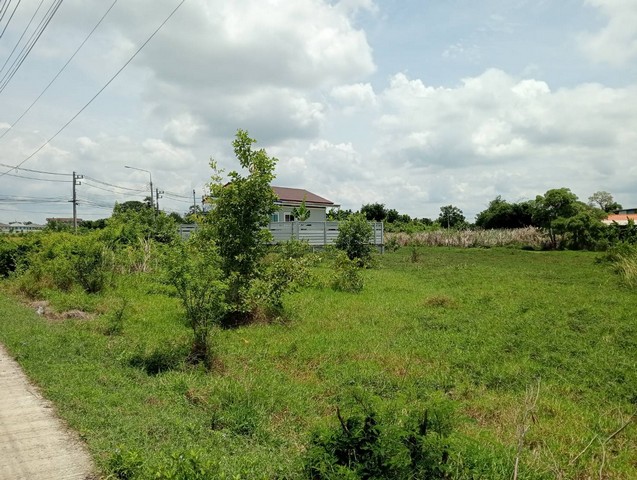 ขายที่ดิน 0-2-01 ไร่ ถนนขาด นครปฐม เหมาะลงทุน ใกล้แหล่งท่องเที่ย
