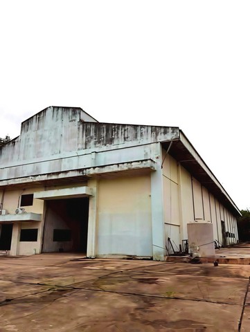 ขายโรงงานนิคมพัฒนาระยอง เนื้อที่ 24 ไร่เศษ