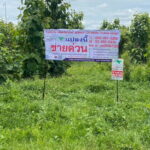 ที่ดินพร้อมต้นสัก 52-0-99 ไร่ ผืนใหญ่ ต.เขาทราย อ.ทับคล้อ จ.พิจิต