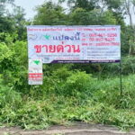 ที่ดินเปล่า 1 ไร่ ต.เมืองปัก อ.ปักธงชัย จ.นครราชสีมา