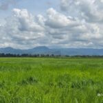 ขายที่สวยติดถนนเลียบคลอง 2 ด้าน ต.ท่าทราย อ.เมืองนครนายก