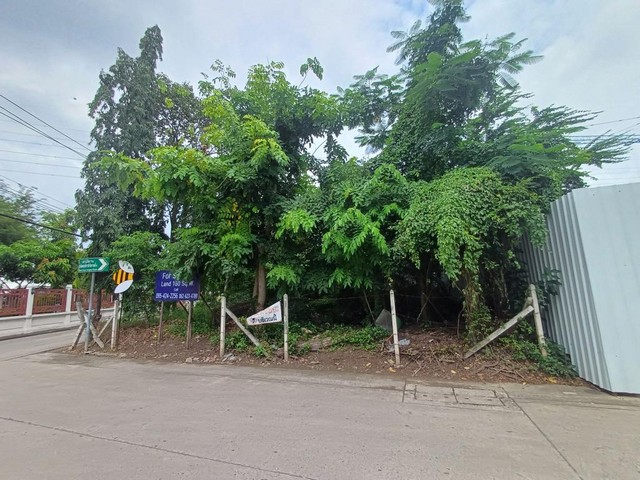 ขาย ที่ดินถมแล้ว 160 ตร.ว. ถ.พระราม ซ.19 แปลงมุม
