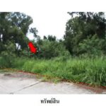 ขายที่ดินว่างเปล่า โครงการ สวนวลีแลนด์ 4 ระยอง