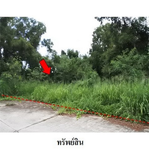 ขายที่ดินว่างเปล่า โครงการ สวนวลีแลนด์ 4 ระยอง