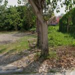 ghd000743 ขายด่วน ที่ดินทำเลทอง บางแค 14