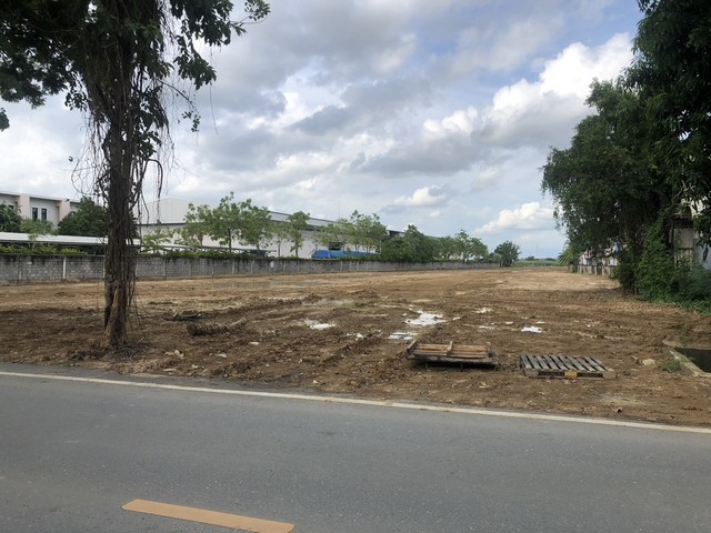 ขายที่ดินถมแล้วด้วยดินซีแลค ชนิดดี อำเภอปากเกร็ด จังหวัดนนทบุรี