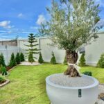 ขายบ้านเดี่ยวชั้นเดียวบ. รวิพร หนองไม้แก่น ซอยเนินพลับหวาน