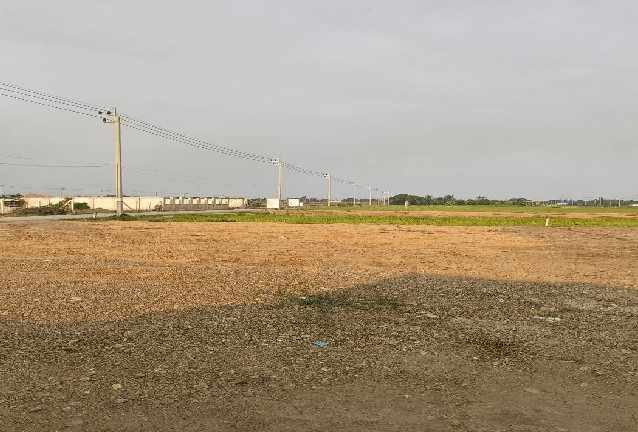 ขายที่ดิน 2 แปลง 100 ตารางวา และ 168 ตารางวา ถมแล้ว หนองจอก กรุงเ