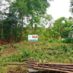 ที่ดินเปล่า ซอยคลองหกตะวันออก 98/1